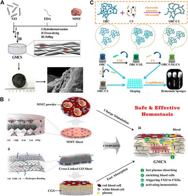 Advances in the development and optimization strategies of the hemostatic biomaterials